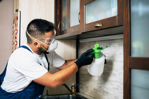 Best Cockroach Control Services  in Kibler, AR