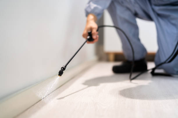 Best Local Pest Control Services  in Kibler, AR