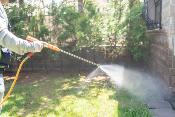 Best Termite Control Services  in Kibler, AR