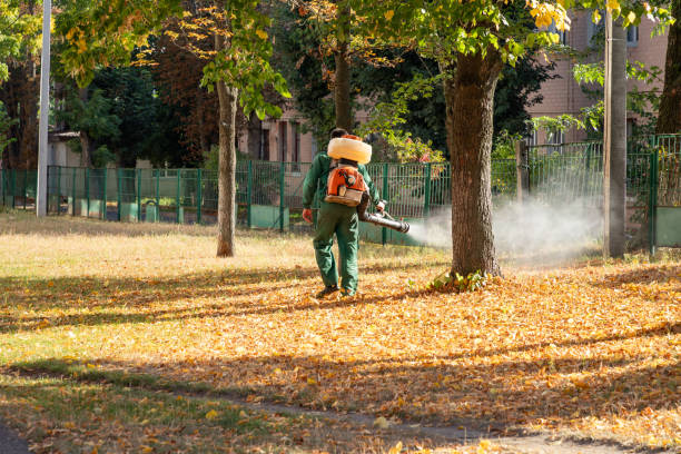 Best Best Pest Control Companies  in Kibler, AR